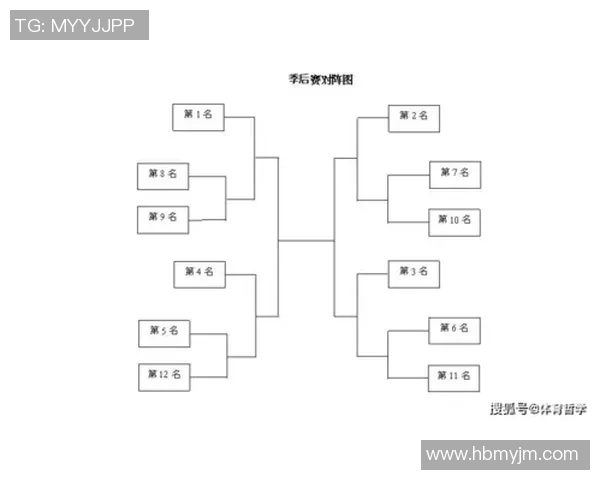 篮球团队协作实力榜单发布北京篮球队荣登第九名展现团队精神